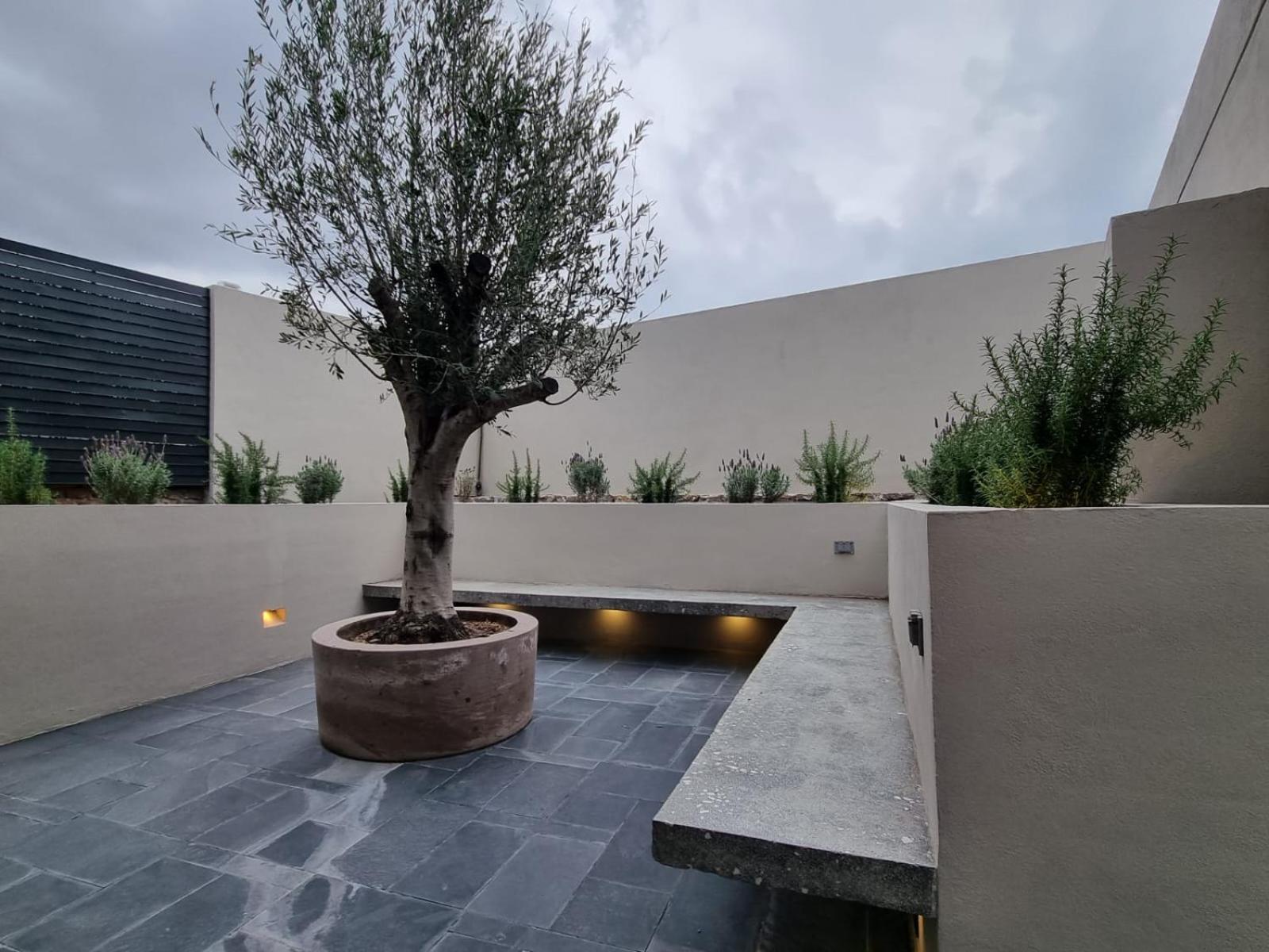 Casa Origenes Ξενοδοχείο Σαν Μιγκέλ ντε Αγιέντε Εξωτερικό φωτογραφία